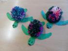 IMG-20250521-WA0000