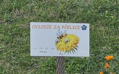 Učimo brinuti o prirodi – cvijeće za naše pčelice