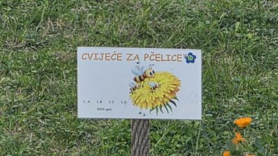 Učimo brinuti o prirodi – cvijeće za naše pčelice