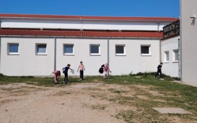 Čišćenje školskog okoliša